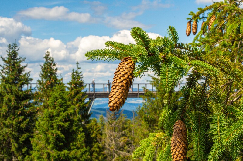 Belianske Tatry v lete